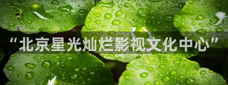 秋霞八妻子电影网