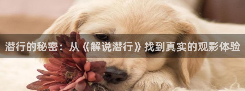 秋霞福利伦理网