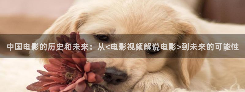 秋霞韩国电影手机版