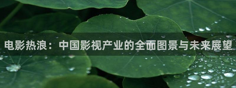 秋霞20119