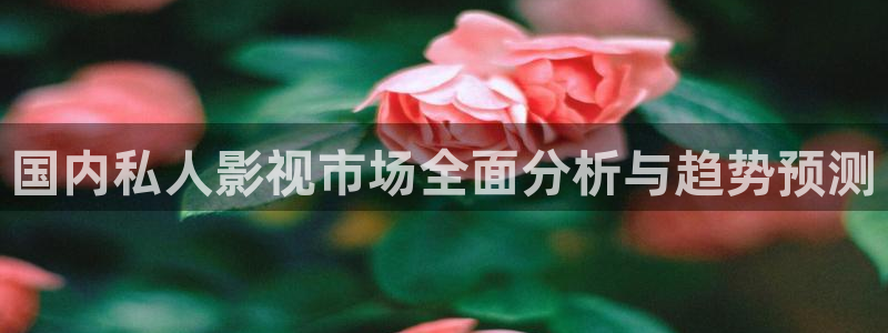 秋霞电影在线观看看