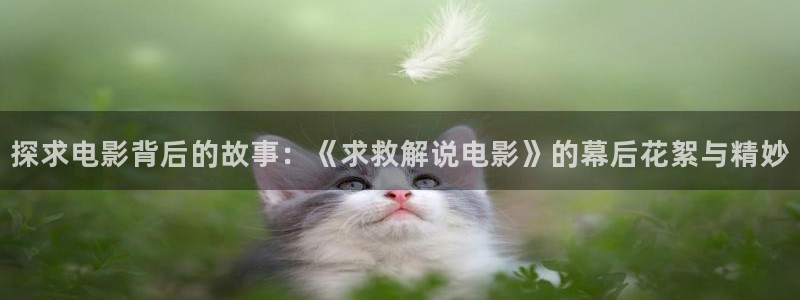 秋霞在线看免费