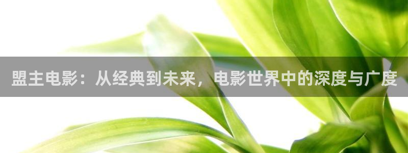 秋霞电影网一级