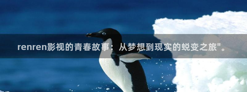 秋霞高清免费