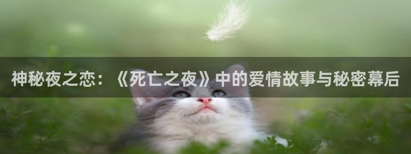 欧美秋霞网