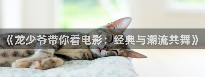 秋霞一伦理片