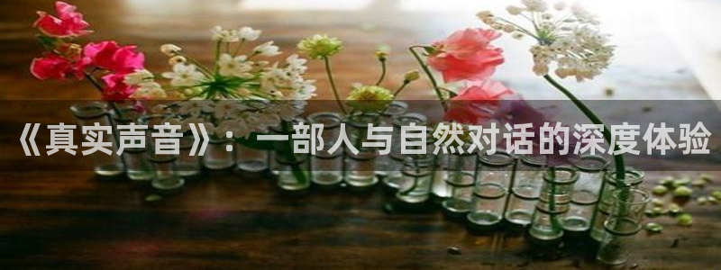 秋霞影院电视剧免费观看