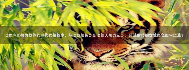 秋霞三级网