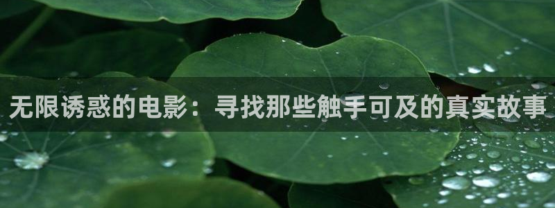 秋霞网在线观看伦理