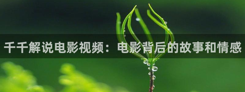 亚洲秋霞影院