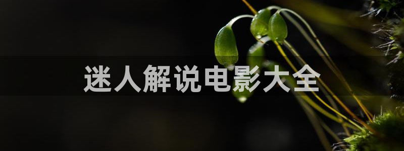 韩国秋霞影视