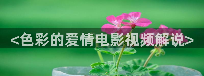 好男人秋霞影院