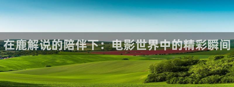 秋霞宅宅网
