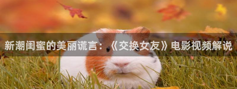伦理片在线观看秋霞