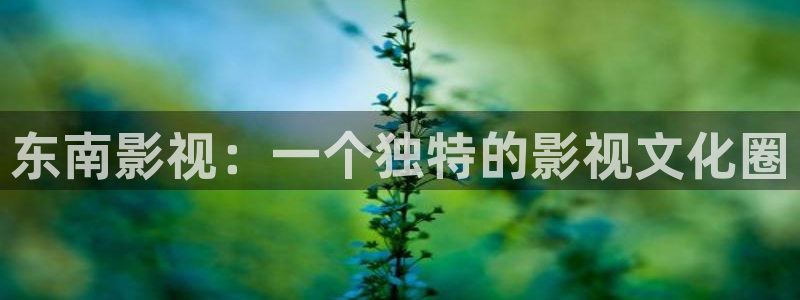 秋霞影院院