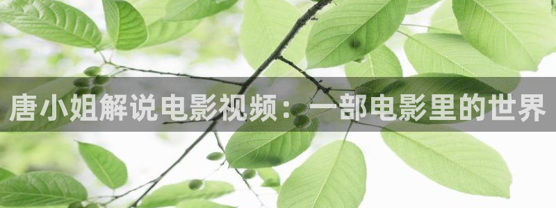 新闻图片