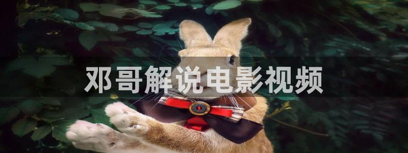 秋霞电影网络