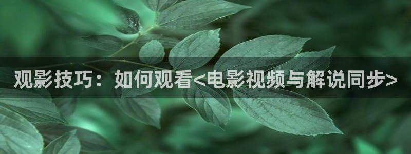 秋霞影院精品久久