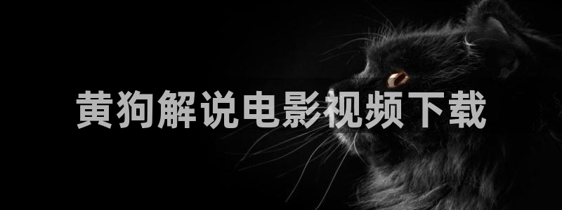 秋霞影院在线观看手机版