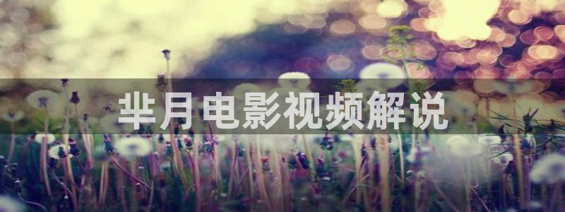 成人秋霞电影网站