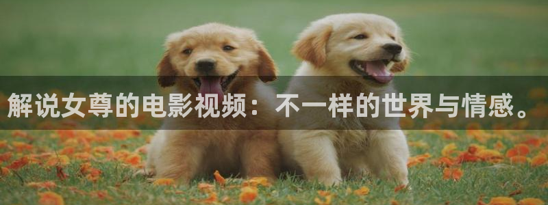 秋霞电影手机在线观看免费