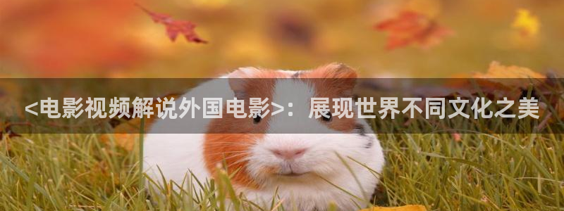 秋霞电影妈妈的朋友