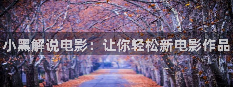 秋霞小说网