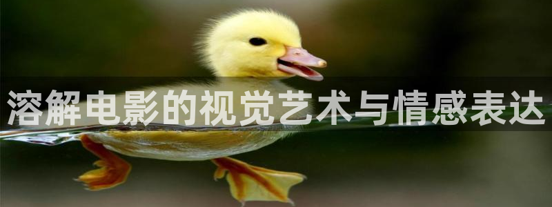秋霞在线观秋霞