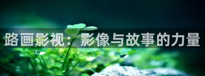 秋霞手机免费理乱电影