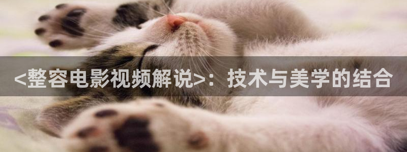 秋霞影院中文字幕
