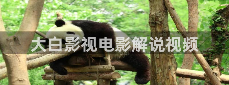 国产三级秋霞电影