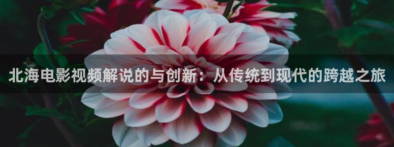 秋霞音影网