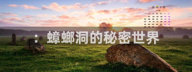 秋霞电影午夜片