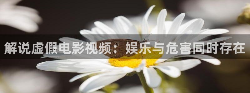 秋霞网站在线
