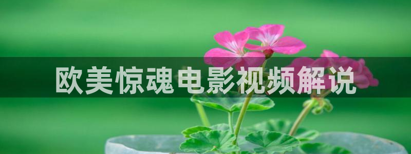 老秋霞影院