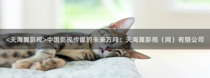 秋霞电影网在线影院播放