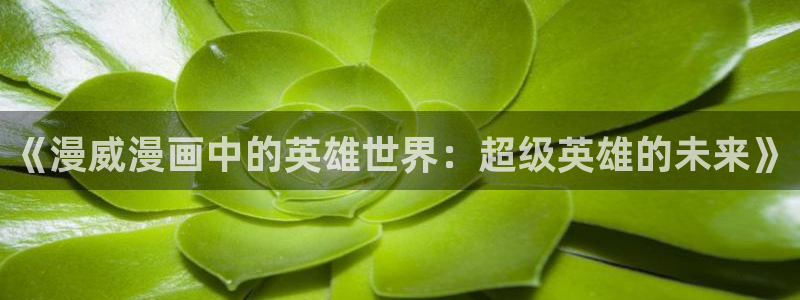 秋霞快播网