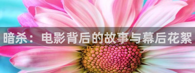 神马电影秋霞影院