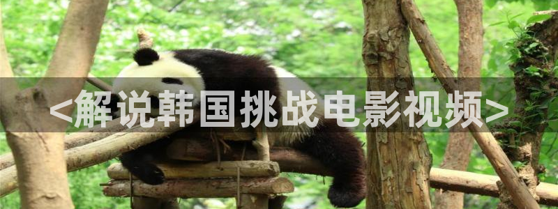 秋霞影院手机版在线观看
