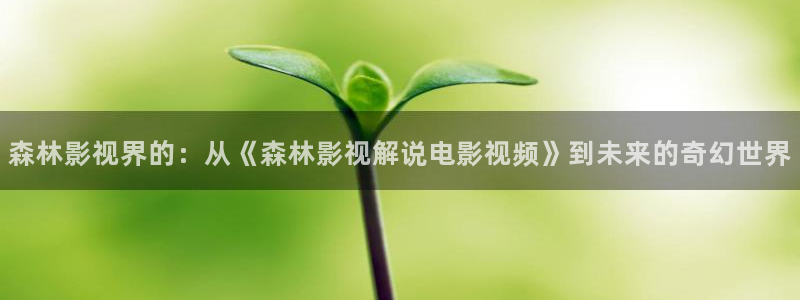 秋霞电影院午夜伦高清在线观看